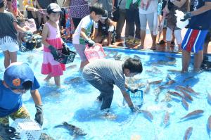 魚のつかみ取りの様子