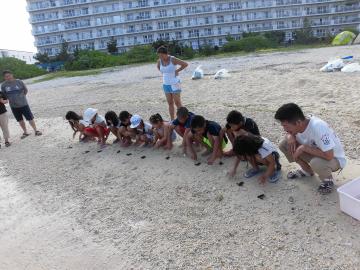 砂辺の浜で子ガメを放流する子供たちの写真