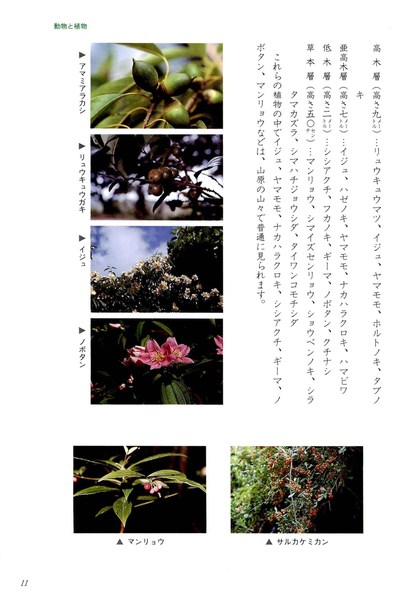 北谷町の自然 歴史 文化 北谷町の自然 歴史 文化