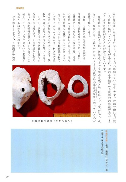 沖縄資料集成　自然・歴史・文化・風土 沖縄資料集成 自然・歴史・文化・風土(西銘康展：編) / 高山文庫