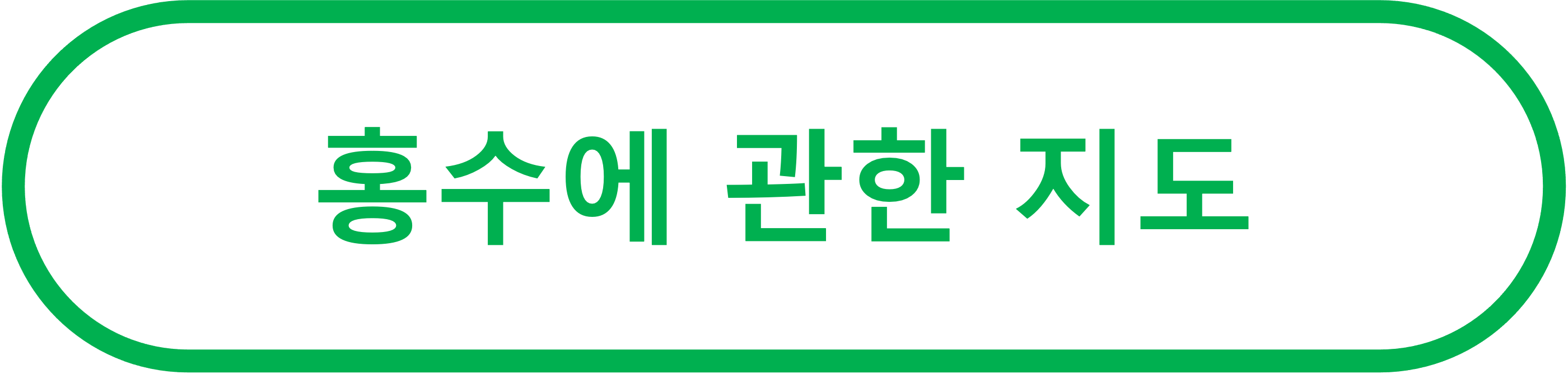 홍수에 관한 지도