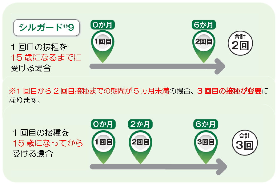 接種スケジュール