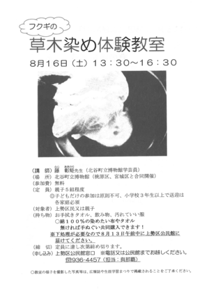 kamisei1